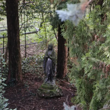 Garden / Del Ducato Parma